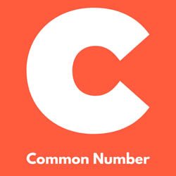 Teer Common Numbers